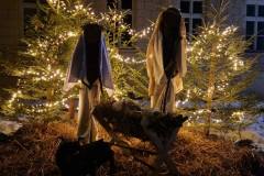 588718610_1470636525071523_5836281534799411058_n