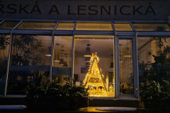 589208136_1470637351738107_2284635518034873339_n