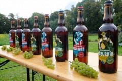 sazeni_chmelnice_krest_piva_1