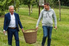 Chmelobrani-2020_sshlfrydlant-5