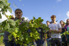 0013_124_2023-09-04-10-33-37-0183_freedlantsko_eu_petr_bima_cz