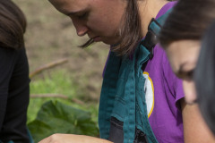 0032_351_2023-09-04-10-54-21-0485_freedlantsko_eu_petr_bima_cz