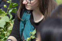 0033_361_2023-09-04-10-55-14-0498_freedlantsko_eu_petr_bima_cz