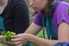 0056_461_2023-09-04-11-11-43-0655_freedlantsko_eu_petr_bima_cz