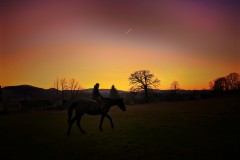 105413450_1187755238268075_8331047308566097698_n