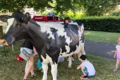 IMG_20220618_124856_560