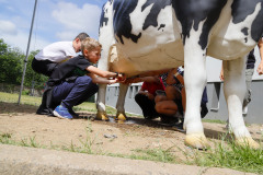 00379_2024-05-31-11-22-02-1037_gastroden_2024_freedlantsko_eu_petr_bima