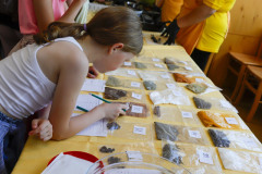 00384_2024-05-31-11-23-52-1053_gastroden_2024_freedlantsko_eu_petr_bima