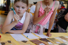 00386_2024-05-31-11-24-01-1057_gastroden_2024_freedlantsko_eu_petr_bima