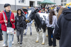 SM_4217-kopie