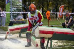 SM_4384