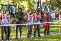 SM_6631