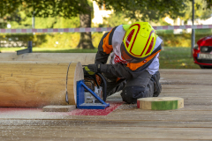 SM_7223