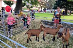 FB_IMG_1662214523237