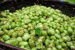 245606700_4566674520058701_7178796249251434779_n