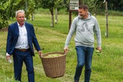 Chmelobrani-2020_sshlfrydlant-5