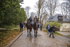 MS2_9179