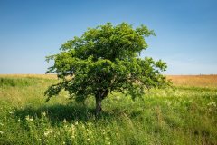260629_01-frydlant_03_2500px