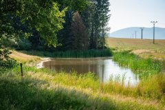 260629_01-frydlant_04_2500px