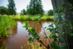 260629_01-frydlant_10_2500px