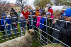 petr_bima_freedlantsko_eu_sshl_2022-04-21-09-17-42-_MGL6757A