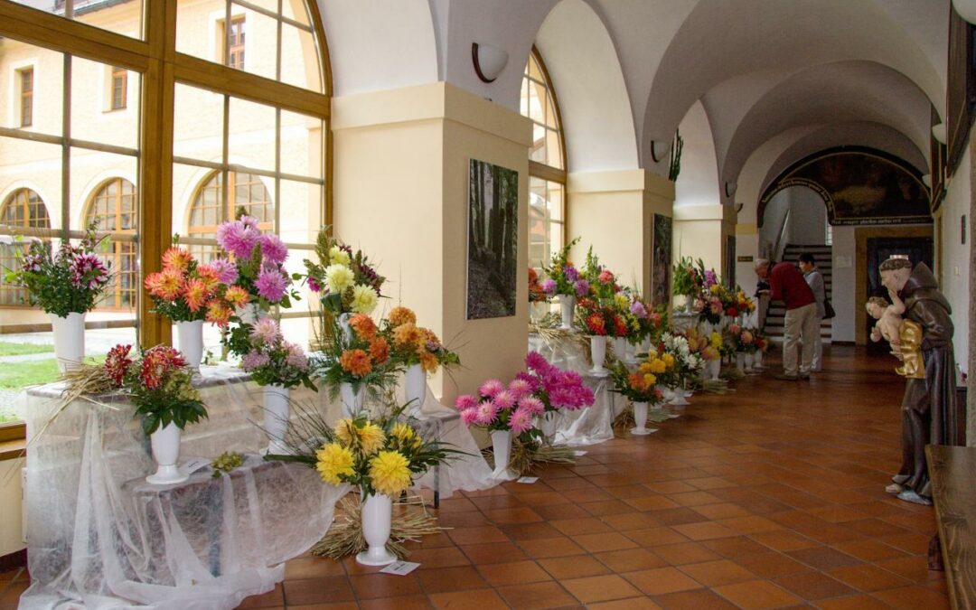 Mezinárodní výstava jiřinek a soutěž v aranžování květin