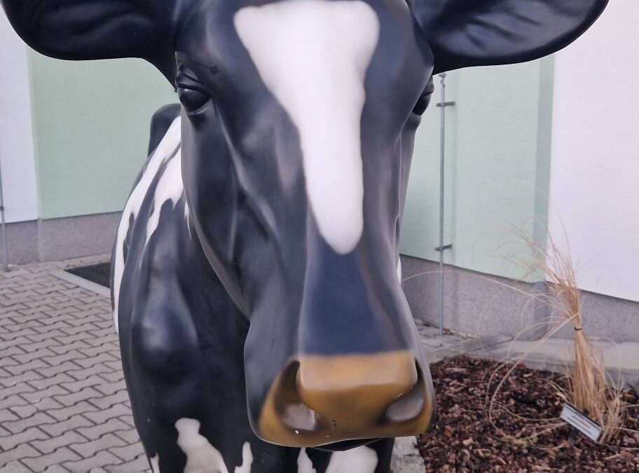 Poslední den otevřených dveří v tomto školním roce